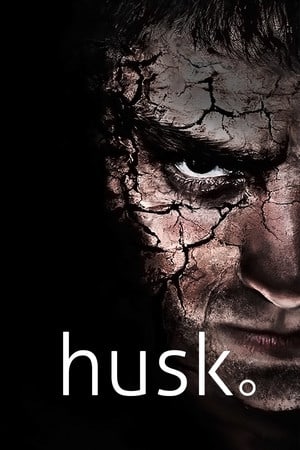 记住[Husk] 游戏封面