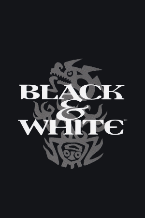 黑与白[Black and White] 游戏封面