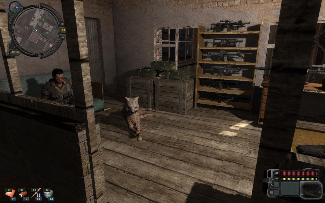 潜行者：普里皮亚季的呼唤 - 联盟时间 - Duology[Stalker: Call of Pripyat - Alliance Time - Duology] 游戏截图6