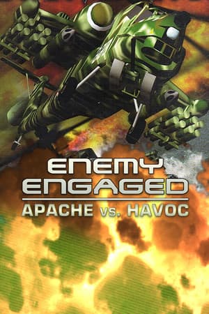 敌人交战：阿帕奇 vs 浩劫[Enemy Engaged: Apache vs Havoc] 游戏封面