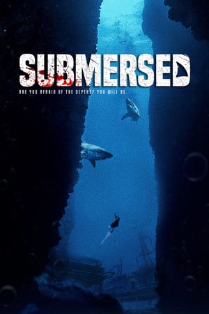 浸没的[Submersed] 游戏封面