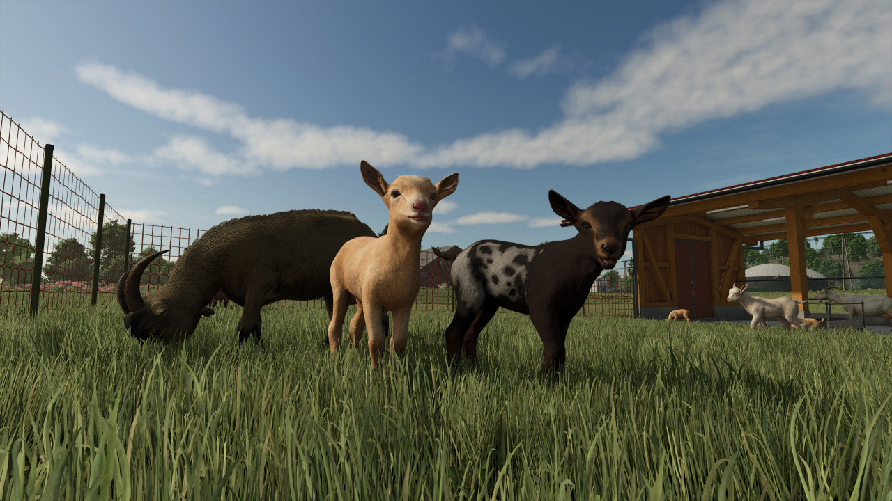 农业模拟器 25[Farming Simulator 25] 游戏截图3