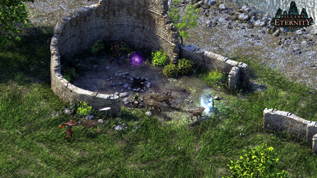 永恒之柱[Pillars of Eternity] 游戏截图13