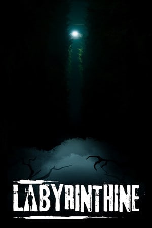 迷宫般的[Labyrinthine] 游戏封面