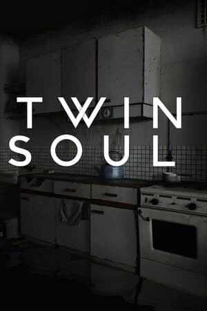 双生灵魂[Twin Soul] 游戏封面