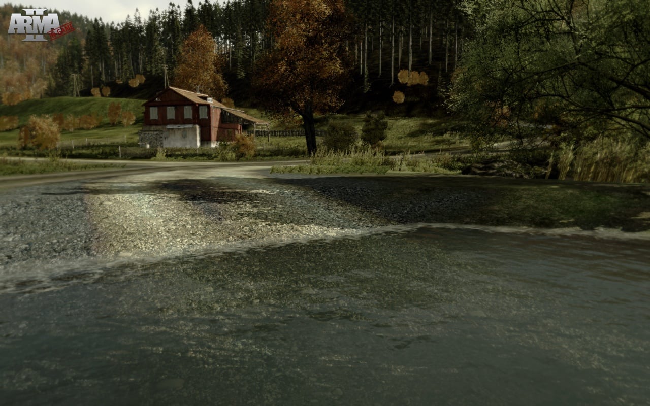 武器2[Arma 2] 游戏截图13