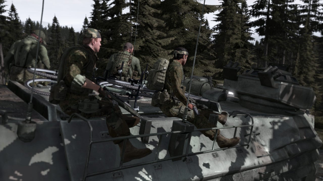 武器2[Arma 2] 游戏截图2