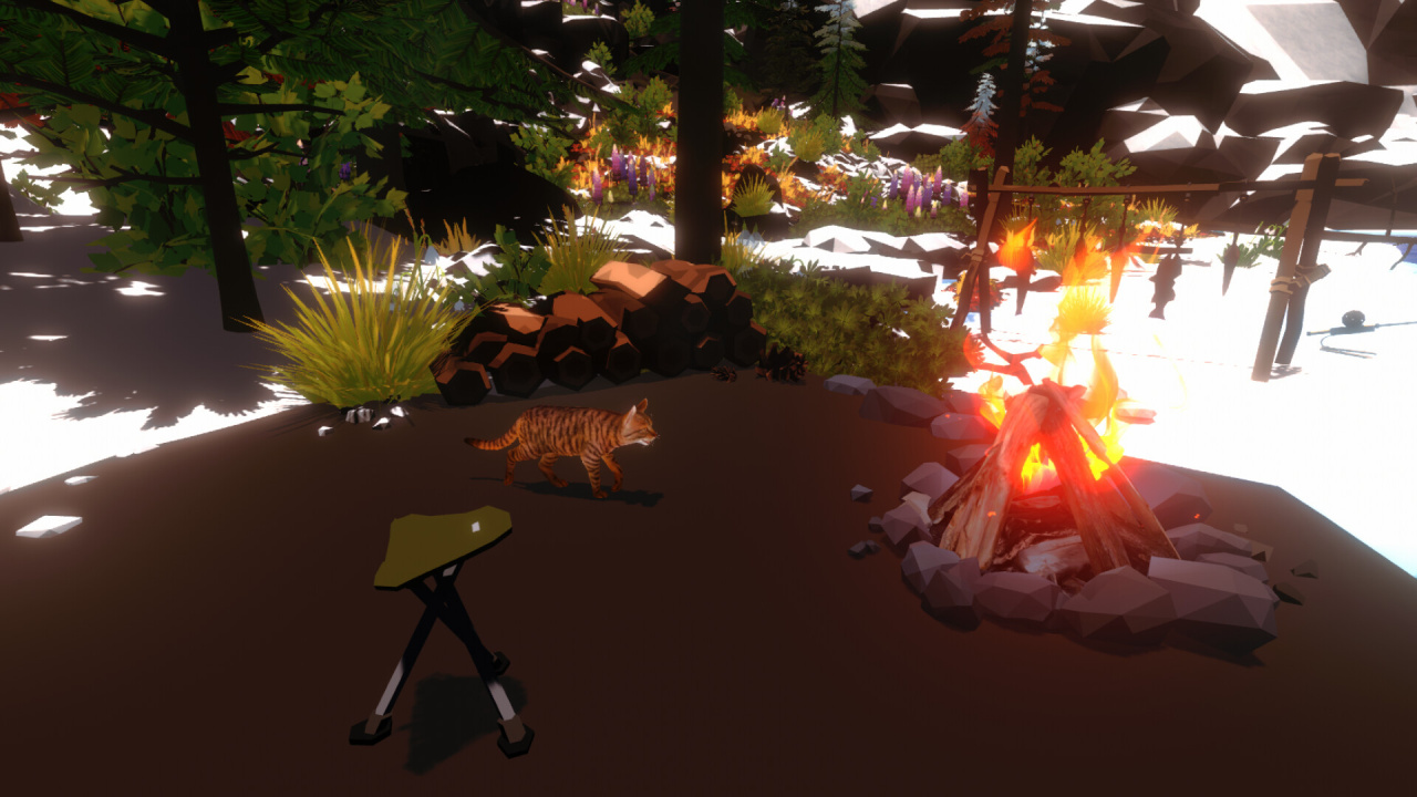 篝火与猫[Campfire with Cat] 游戏截图5