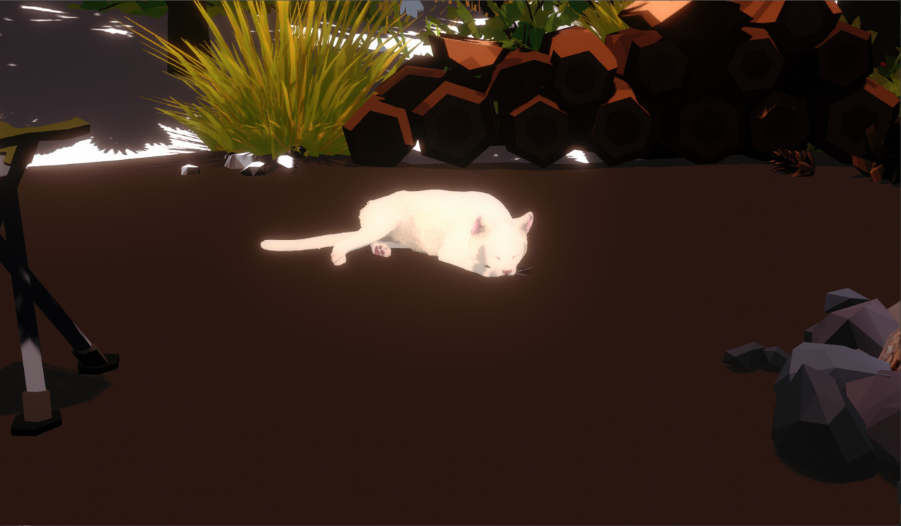 篝火与猫[Campfire with Cat] 游戏截图4