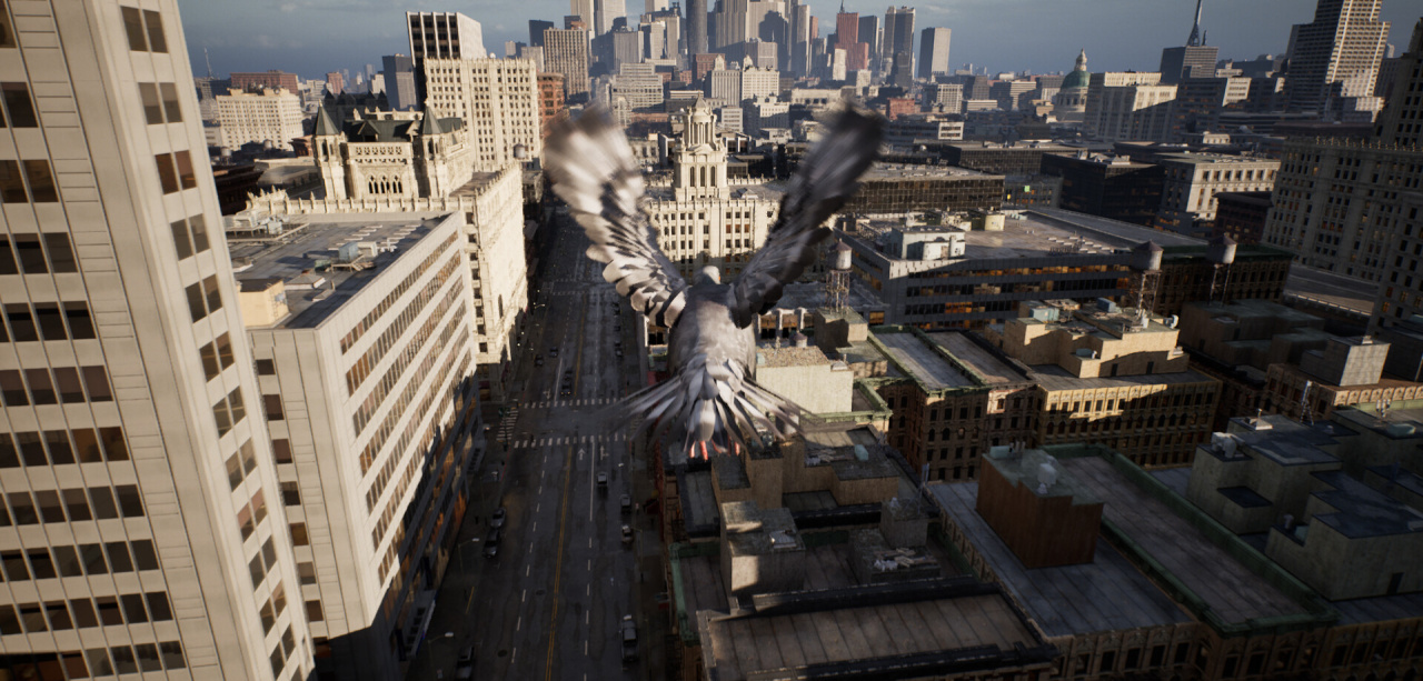 鸽子飞行模拟器[Pigeon Flight Simulator] 游戏截图3
