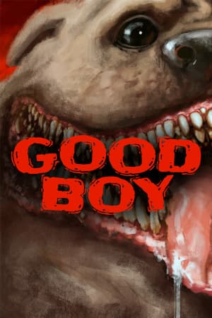 好孩子[Good Boy] 游戏封面