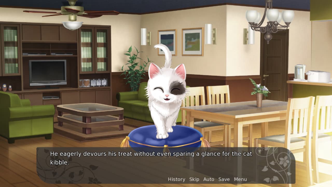 我的乖猫：雪[My Fair Cat: Snow] 游戏截图8