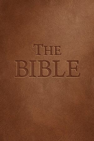 圣经[The Bible] 游戏封面