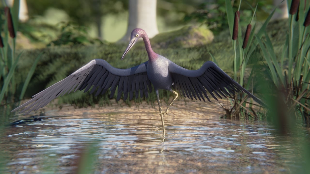 观鸟模拟器：鸟类摄影师[Birding Simulator: Bird Photographer] 游戏截图11