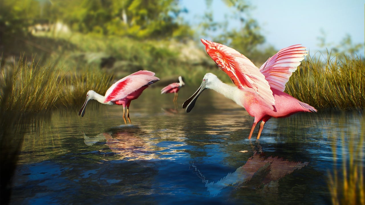 观鸟模拟器：鸟类摄影师[Birding Simulator: Bird Photographer] 游戏截图2