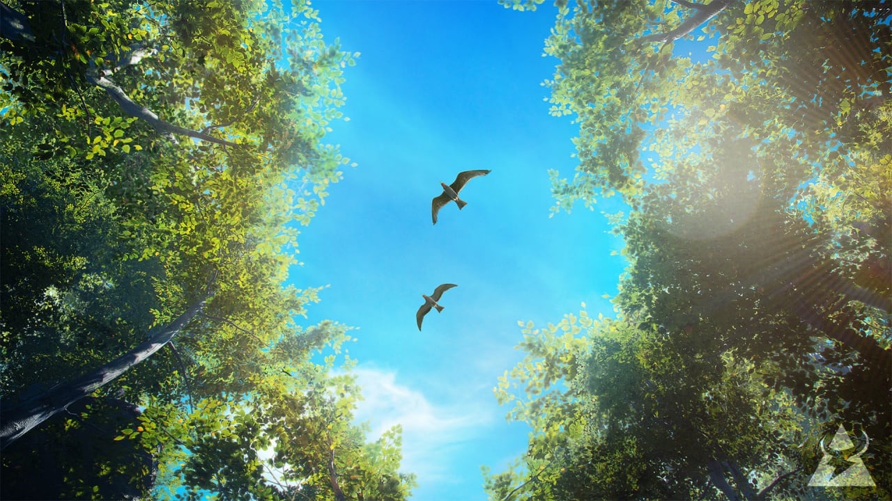 观鸟模拟器：鸟类摄影师[Birding Simulator: Bird Photographer] 游戏截图5