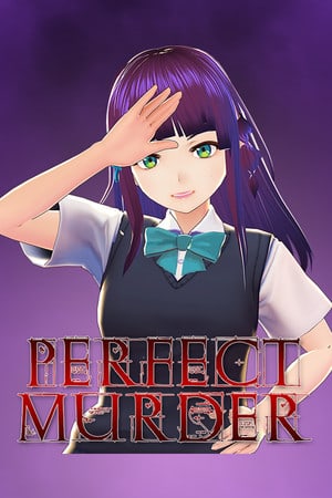 完美谋杀[Perfect Murder] 游戏封面