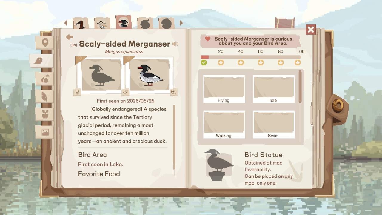 观鸟笔记本[Birdwatching Notebook] 游戏截图7